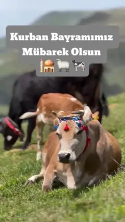 Kurban Bayramı 🤲
