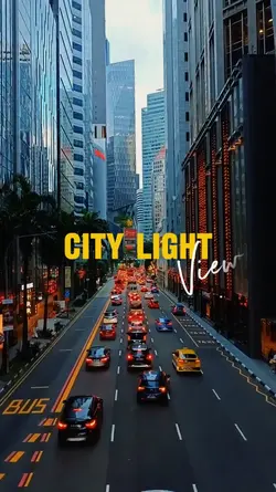 City Light View