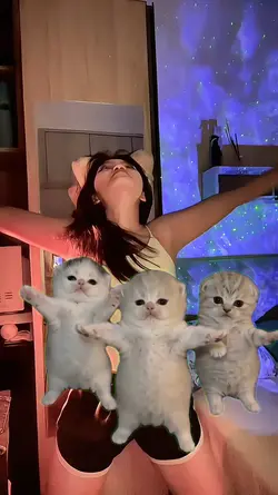 Cat dance greenscree