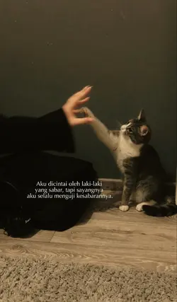 bahan sw