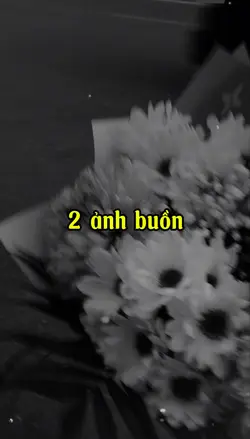 2 ảnh buồn