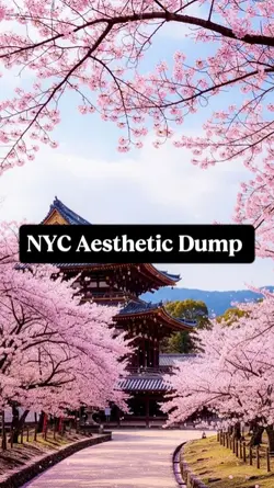 NYC Aesthetic Dump