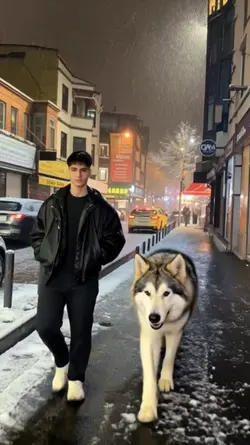 Wolf