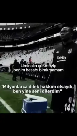 free Şablon 