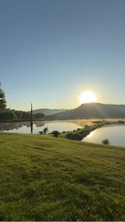 Pecuária do Brasil