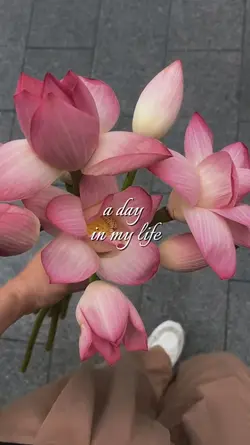 A day in my life