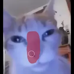 Roblox meme