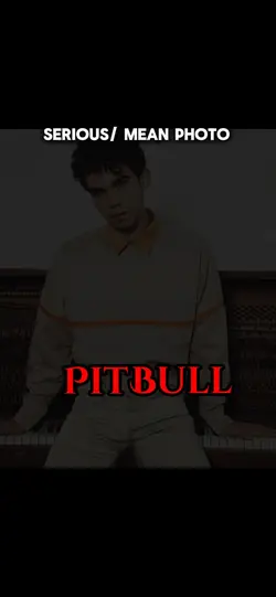 Pitbull/ terrier 