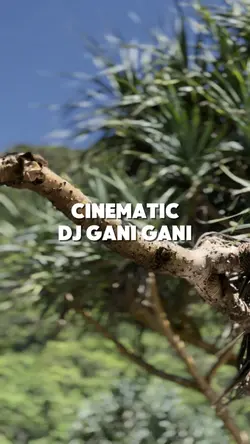 cinematic dj old