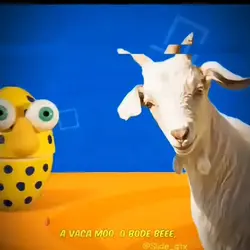 o bode béee 2 