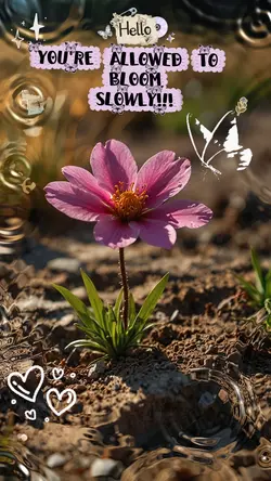 Bloom slowly 