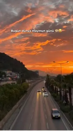 Maymun günü