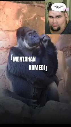 bikinkan komedi