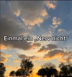 Einmal ein Nerv nich