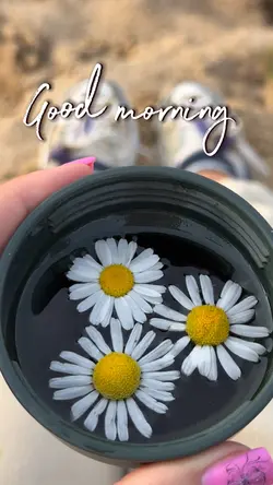 Good morning 