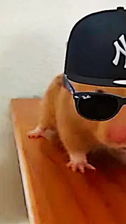 Hamster template 