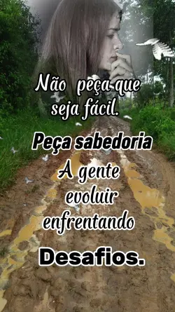 Desafios 