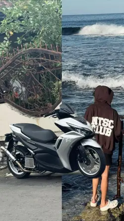 trend owner + motor