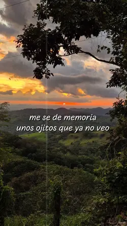 Mi Mascota