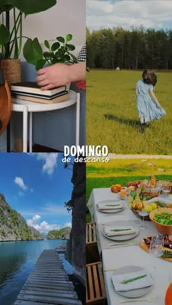 Domingo resumo