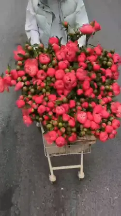 Flowers for you