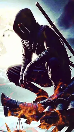 Ninja