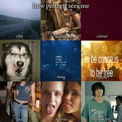 how pin sees me
