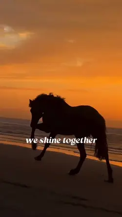 We shine togethe