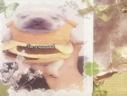 Song: new soul