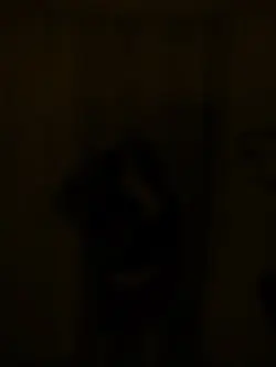 ..