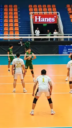 volleyball 