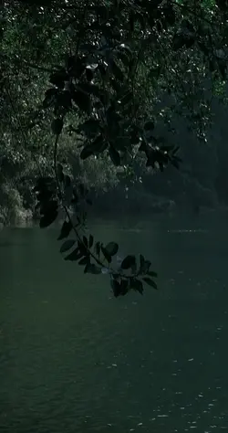 sounds of nature