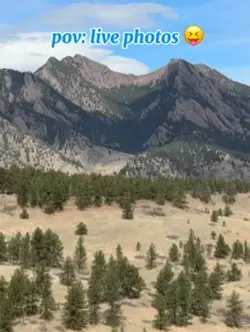 live photos on top!!