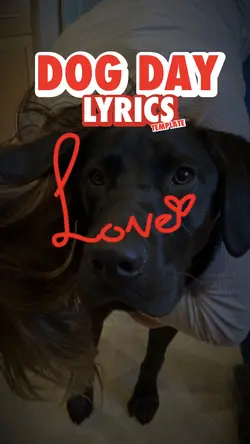 Dog dump/lyrics 🐾❤️