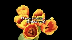 Flower overlay 