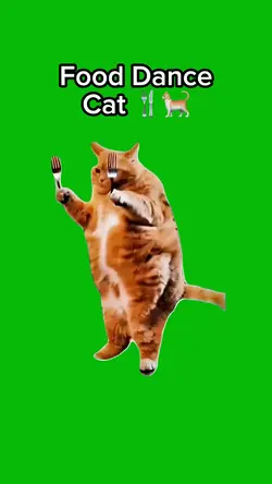Food Dance Cat 🍴