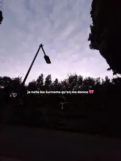 mes surnoms 𐙚