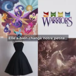 pas d'idée 