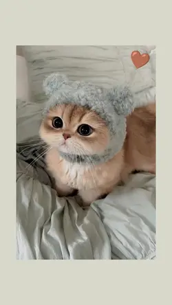 1 foto