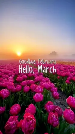 Hello March