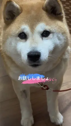 久しぶりにおしゃべりしたのに