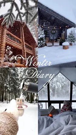 Winter Diary