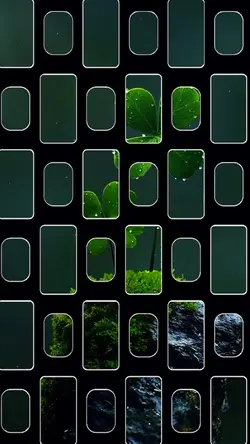 5 clip or photo 