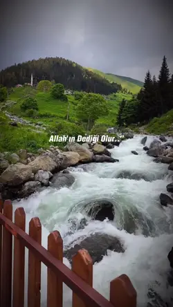 Yeni şablon 