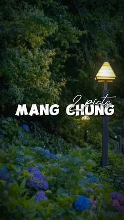 2 ảnh nhẹ nhàng