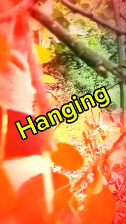 Hanging 