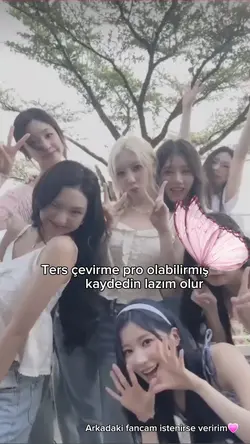 Ters çevirme