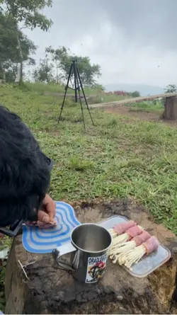 Suara alam