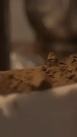 bakery