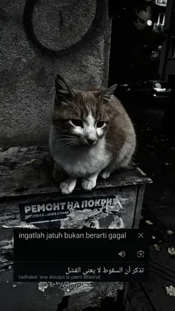 kata kata